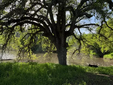 19890 County Road 79a, Capay, CA 95607 photo 29