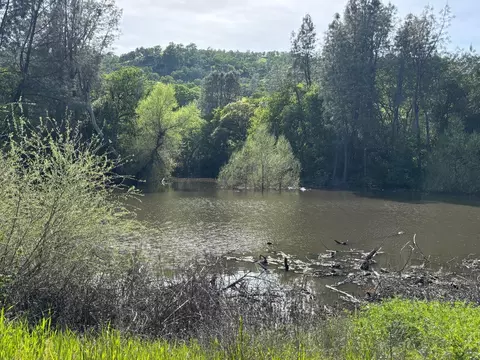 19890 County Road 79a, Capay, CA 95607 photo 24