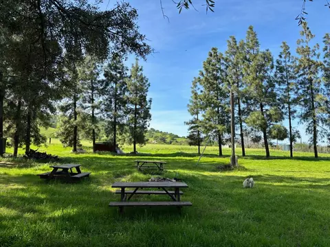 19890 County Road 79a, Capay, CA 95607 photo 21