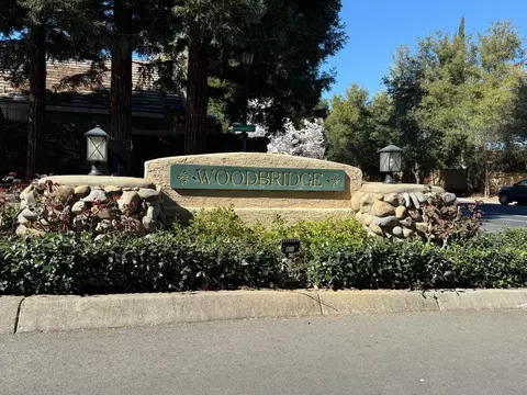 263 Brightstone Cir, Folsom, CA 95630 photo 38