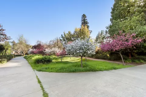 2033 Manet Pl, Davis, CA 95618 photo 47