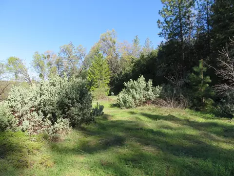 Exterior - 1360 Argonaut Ln, West Point, CA 95255 photo 18 of 21