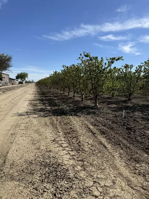 1424 Eucalyptus Ave, Patterson, CA 95363 photo 9