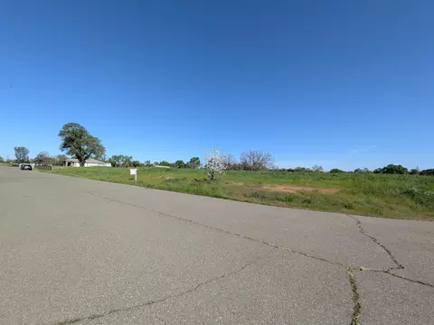 9561 Danlar Ct, Wilton, CA 95693 photo 20