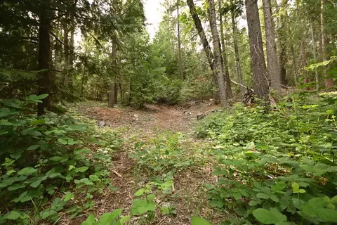 0 Slalom Ln, Pollock Pines, CA 95726