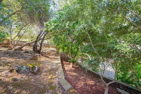 Exterior - 2971 Windsor Ct, Rescue, CA 95672 photo 27 of 29