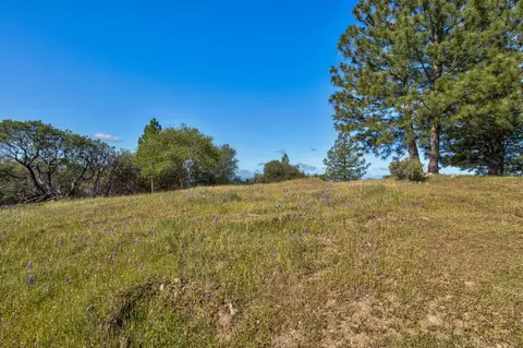 0 Trembath Mtn Rd, Sutter Creek, CA 95685 photo 29