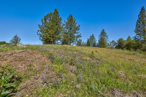 0 Trembath Mtn Rd, Sutter Creek, CA 95685 photo 30