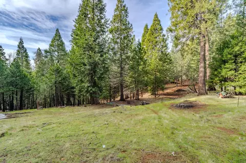 25630 Overland Dr, Volcano, CA 95689 photo 3