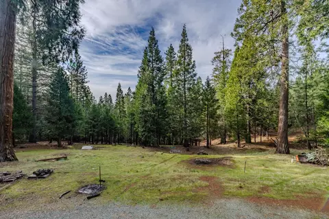 25630 Overland Dr, Volcano, CA 95689 photo 23