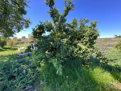 8055 Airola Rd, Vallecito, CA 95251 photo 17