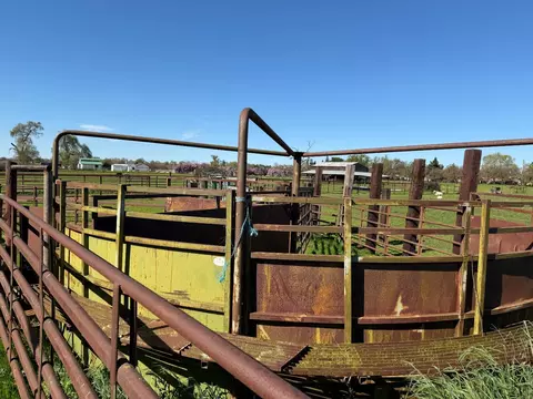 8960 Dillard Rd, Wilton, CA 95693 photo 28