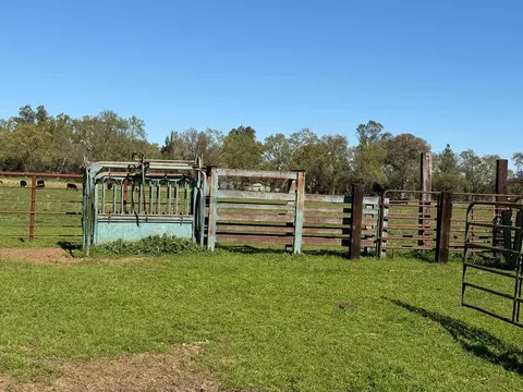 8960 Dillard Rd, Wilton, CA 95693 photo 26