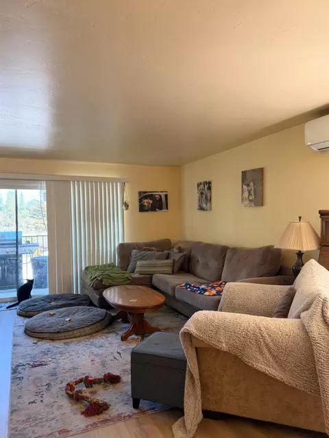 Living - 1 Sunset Cir, Colfax, CA 95713 photo 4 of 5