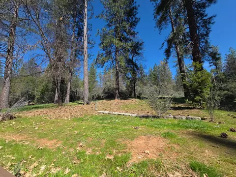 Exterior - 1151 Gorley Ln, Mokelumne Hill, CA 95245 photo 10 of 13