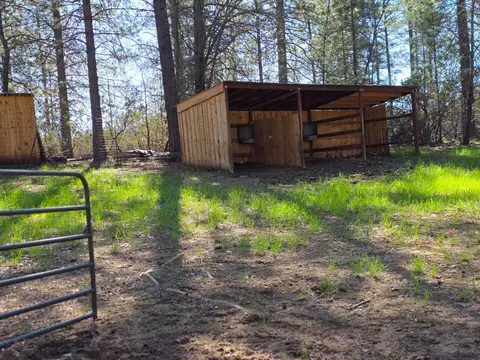 Exterior - 1151 Gorley Ln, Mokelumne Hill, CA 95245 photo 4 of 13