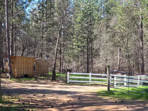 Exterior - 1151 Gorley Ln, Mokelumne Hill, CA 95245 photo 9 of 13