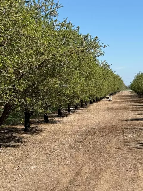 6009 Whitworth Rd, Gustine, CA 95360 photo 6