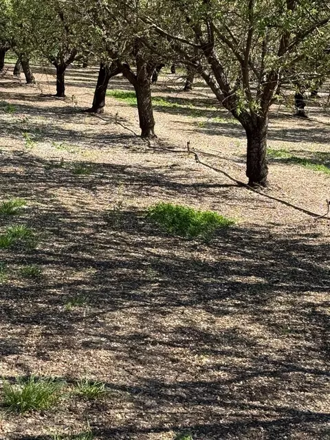 6009 Whitworth Rd, Gustine, CA 95360 photo 5