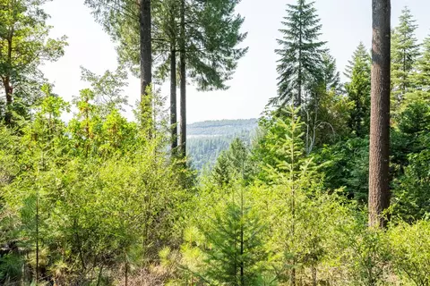 13518 Quaker Hill Cross Rd, Nevada City, CA 95959