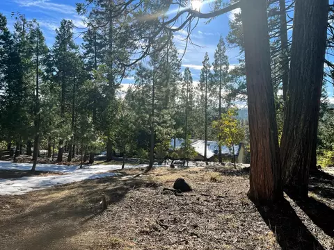 2798 Fairway Dr, Arnold, CA 95223 photo 6