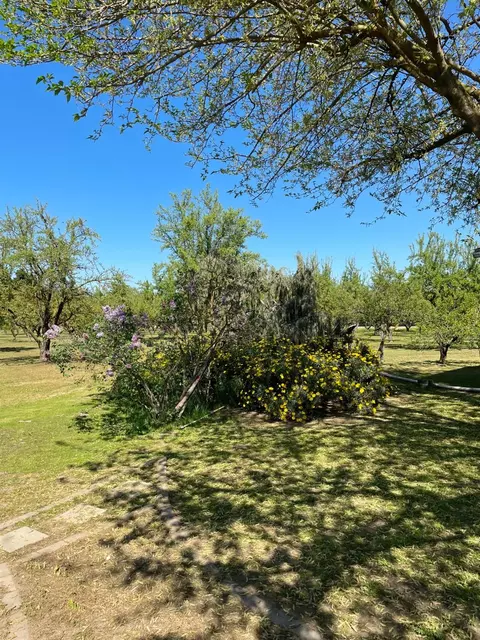 17576 E State Highway 120, Ripon, CA 95366 photo 2