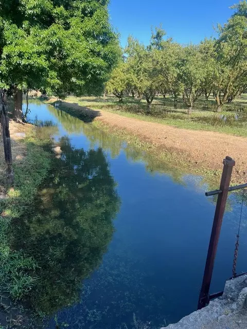 17576 E State Highway 120, Ripon, CA 95366 photo 24