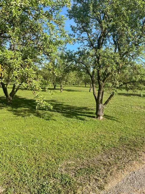 17576 E State Highway 120, Ripon, CA 95366