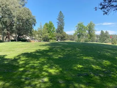 11665 Redwing Ct, Penn Valley, CA 95946