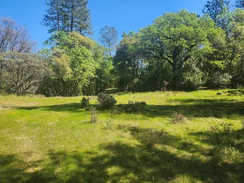 13903 Ingersoll Dr, Dobbins, CA 95935