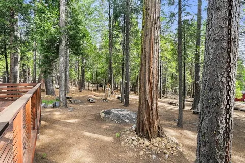 3894 Ottawa Dr, Camp Connell, CA 95223 photo 46