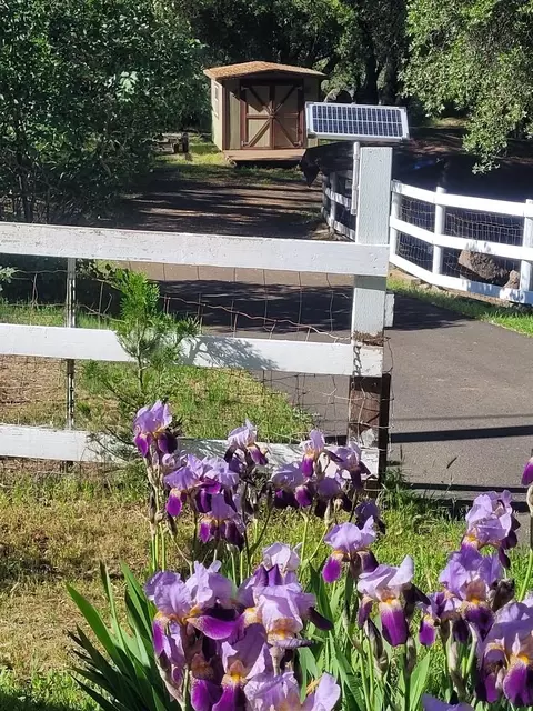 Exterior - 3091 Sand Ridge Rd, Placerville, CA 95667 photo 2 of 17