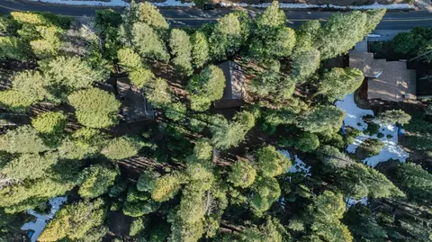 3099 Apache Rd, Dorrington, CA 95223