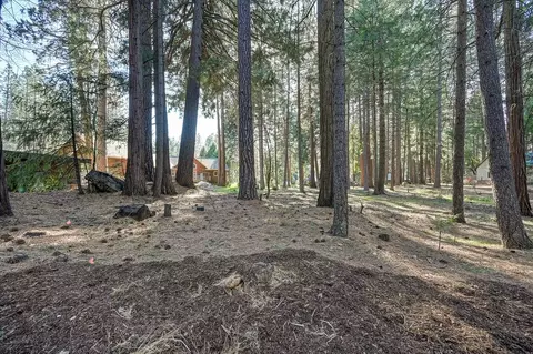Exterior - 701 Sawmill Rd, Alta, CA 95701 photo 19 of 25
