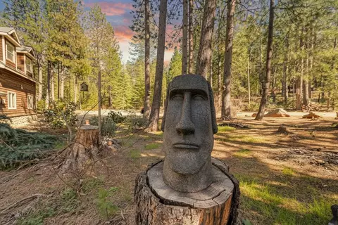 Exterior - 701 Sawmill Rd, Alta, CA 95701 photo 15 of 25