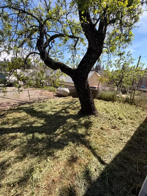 Exterior - 33 Kneeland St, Colfax, CA 95713 photo 9 of 20
