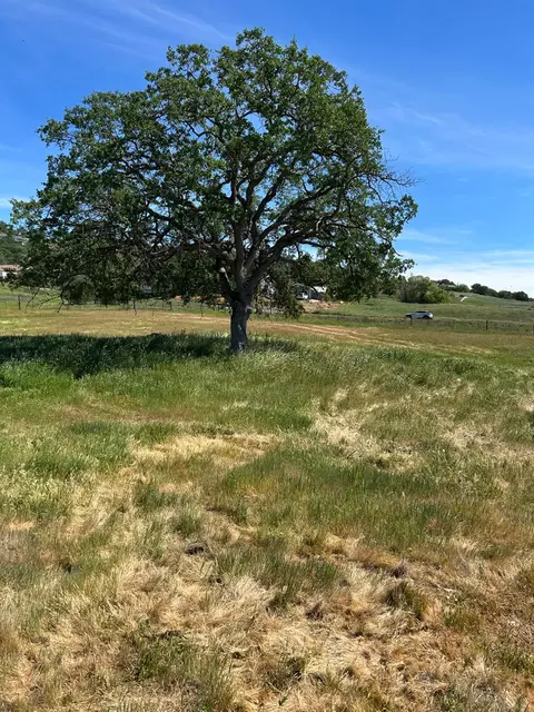 0 Bow Dr, Copperopolis, CA 95228 photo 21