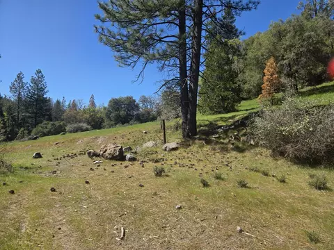 23724 Van De Hei Rd, Pioneer, CA 95666