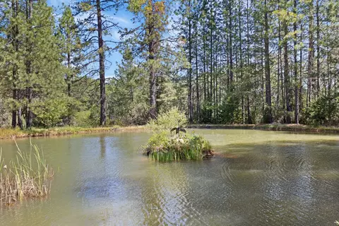 View/Area - 1040 Gladycon Rd, Colfax, CA 95713 photo 3 of 12