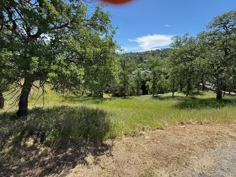 4319 Tomahawk Trl, Copperopolis, CA 95228 photo 3