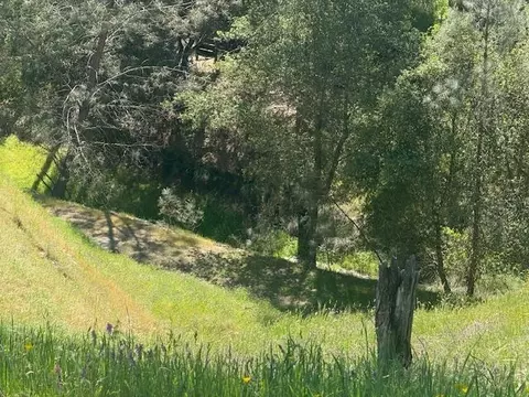 4319 Tomahawk Trl, Copperopolis, CA 95228 photo 5