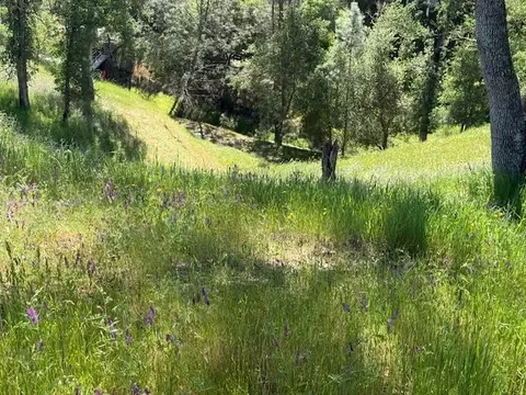 4319 Tomahawk Trl, Copperopolis, CA 95228 photo 9