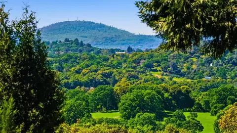 Other - 6637 Baralee Ln, Placerville, CA 95667 photo 12 of 12