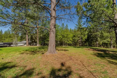 Exterior - 16270 Meadow View Rd, Sutter Creek, CA 95685 photo 13 of 18