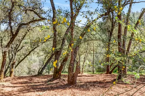 0 Clark Mountain Rd, Placerville, CA 95667 photo 31