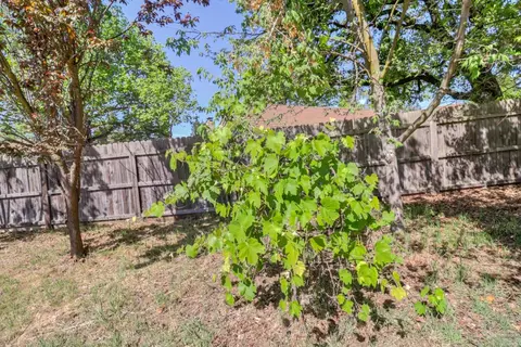 5531 Cypress Ave, Carmichael, CA 95608 photo 30
