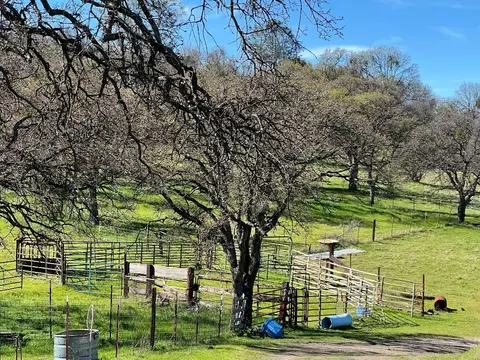 1900 Heiser Canyon Rd, Copperopolis, CA 95228 photo 7