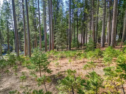 2625 Linnet Ln, Arnold, CA 95223 photo 4