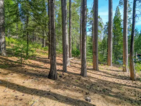 2625 Linnet Ln, Arnold, CA 95223 photo 3