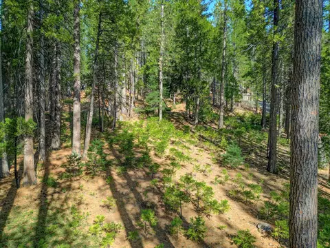 2625 Linnet Ln, Arnold, CA 95223 photo 11